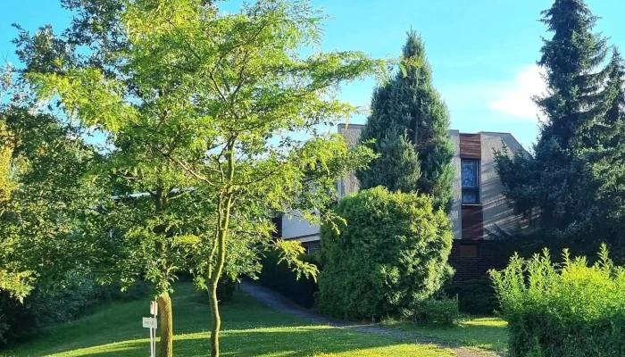 Klub Vodnich Sportu Kolin   Sandberk čislo - Starokolínská 956 Kolín Iv 28002