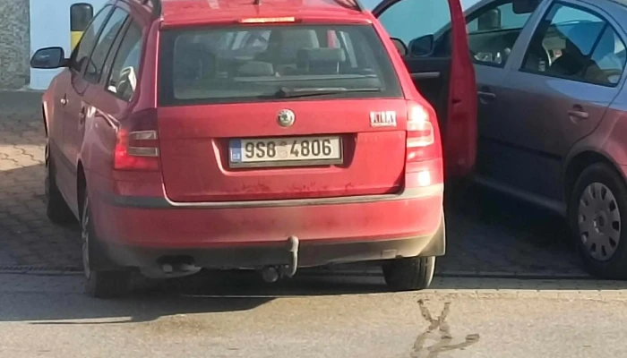 Kohout A Synove   Reznictvi Palackeho 121 - Palackého 121