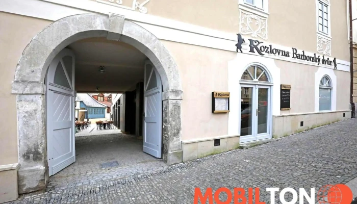 Kozlovna Barborsky Dvur Od Vlastnika - Vnitřní Město