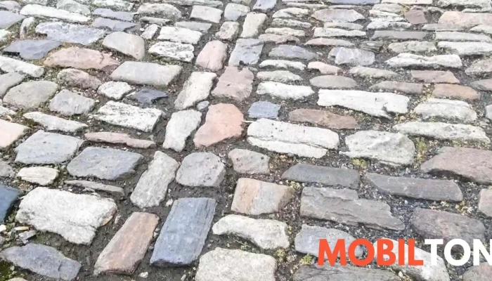 Kozlovna Barborsky Dvur Videa - Vnitřní Město