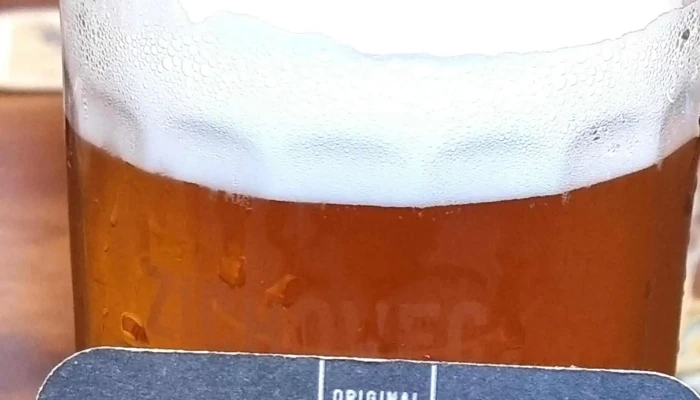 Kralupska Pivoteka U Chameleona Recenze - Grégrova 187