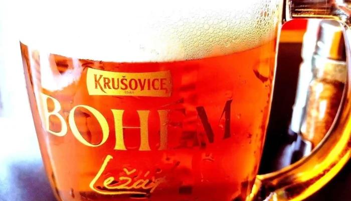Krusovicka Salanda Nejnovejsi - Tř. Václava Klementa 1227