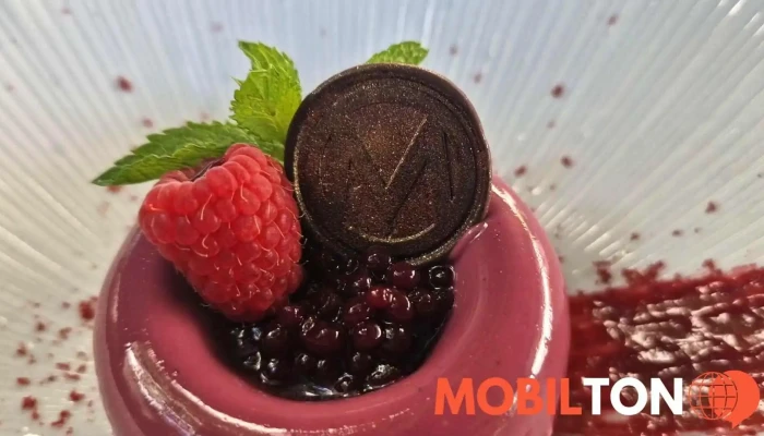 Le Grill Restaurant -  Videa - Nové Město