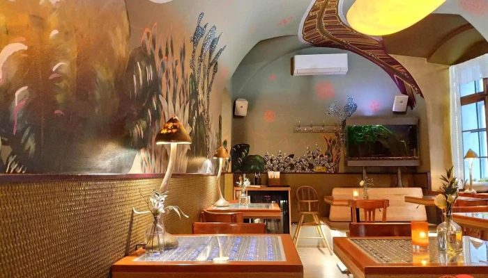 Lehká hlava - vegetariánská restaurace - 110 00 Staré Město