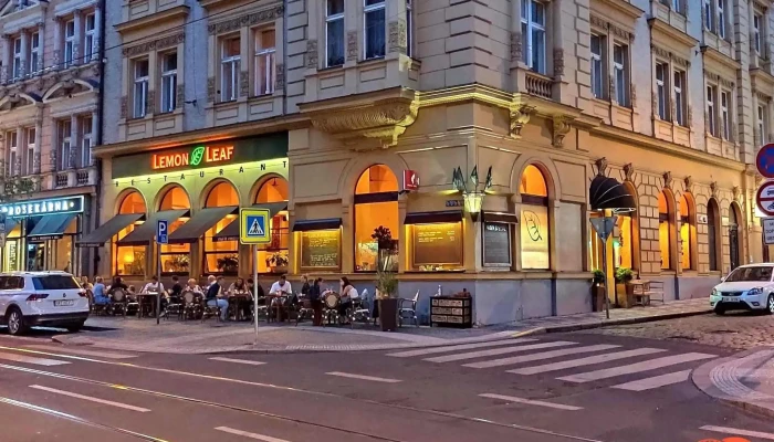 Lemon Leaf -  Od Vlastnika - Nové Město