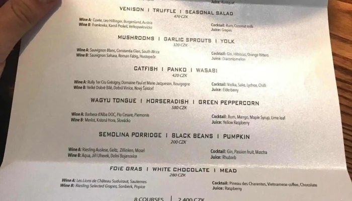 Levitate -  Menu - Vinohrady