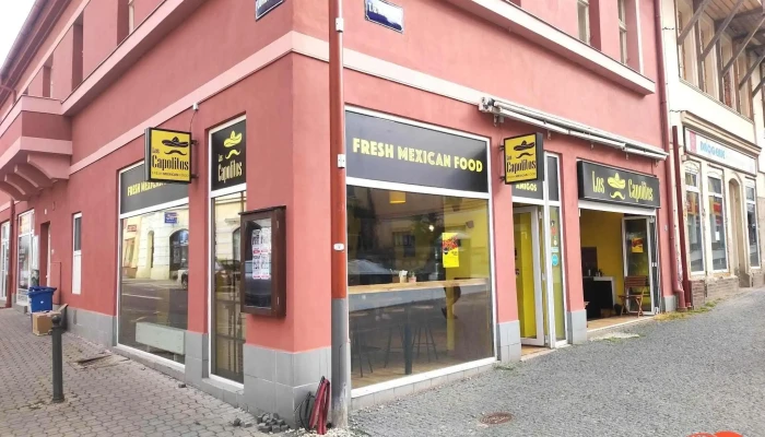 Los Capolitos Kladno -  Vse - Ulice Váňova 500