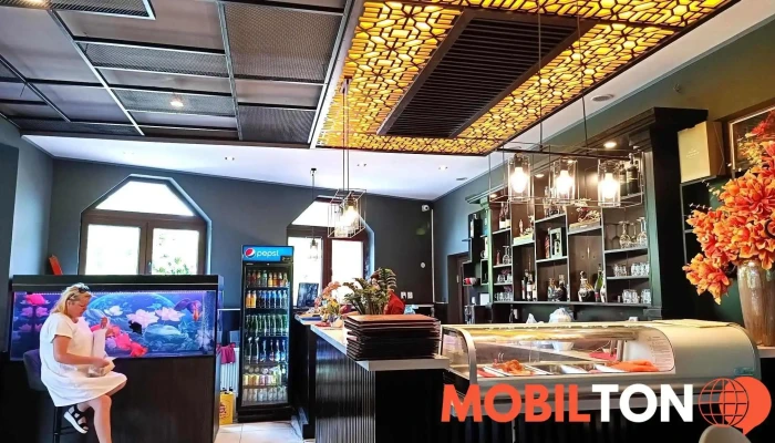Louis Asian Restaurace Sushi Bar -  Vse - Pekárenská 382