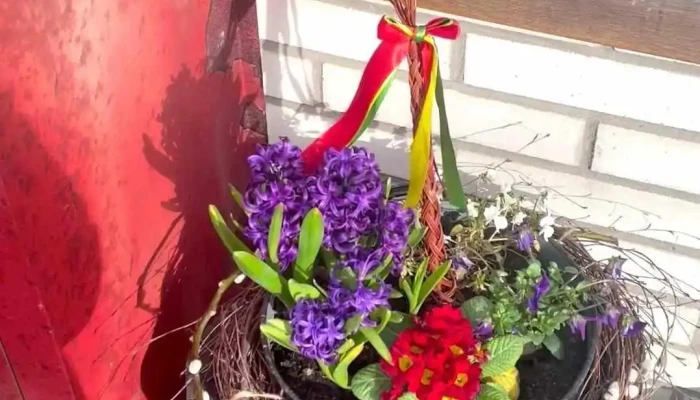 Lusso Caffe -  Videa - Jana Antonína Bati 5648