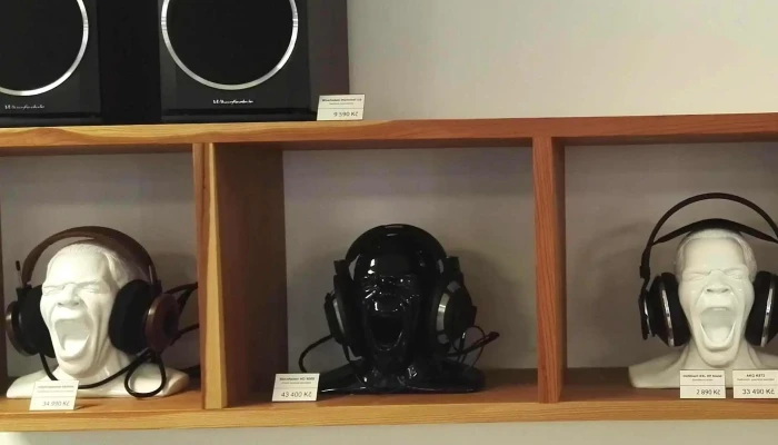 Luxusni Elektronika Telefon - Na Slanici 444