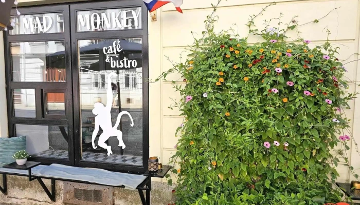 Mad Monkey Cafe Bistro Vse - Minoritské Nám. 1158/1