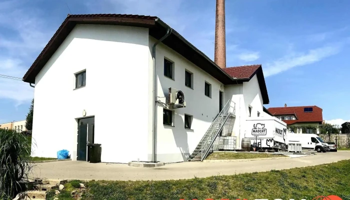 Madcatbeer Vse - Kamenice 299