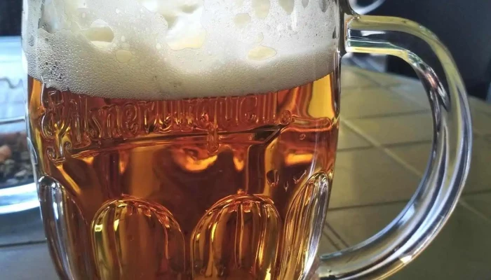 Maple Restaurant -  Prazdroj - Jiráskova 533