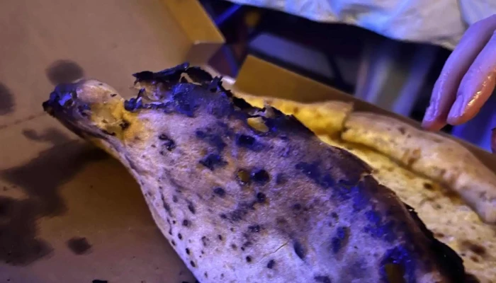 Martins Pizza Otevřeno Nyni - Želetická 2277