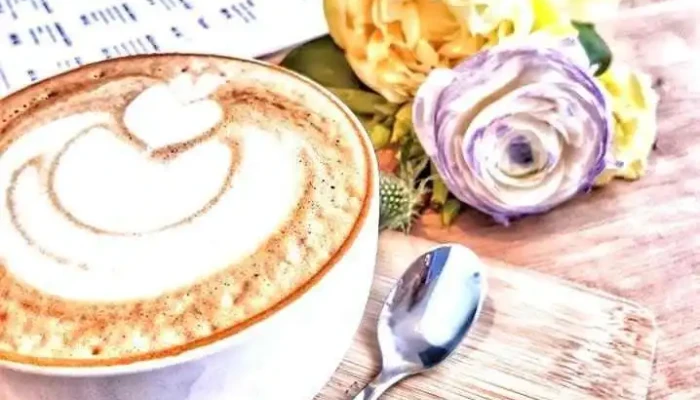 Miska Cafe Kava - Jaroslava Šípka 486