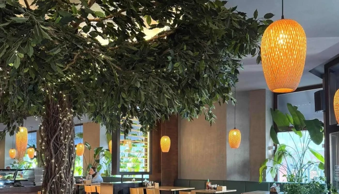 Moc Mlada Boleslav   Prava Vietnamska Kuchyne Vietnamska Restaurace - Mladá Boleslav Ii