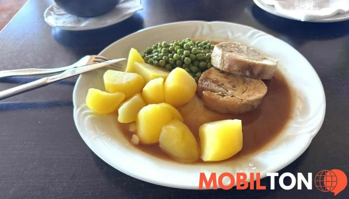 Motorest Stara Posta   Restauracehotel Nejnovejsi - Ke Zdibsku 66