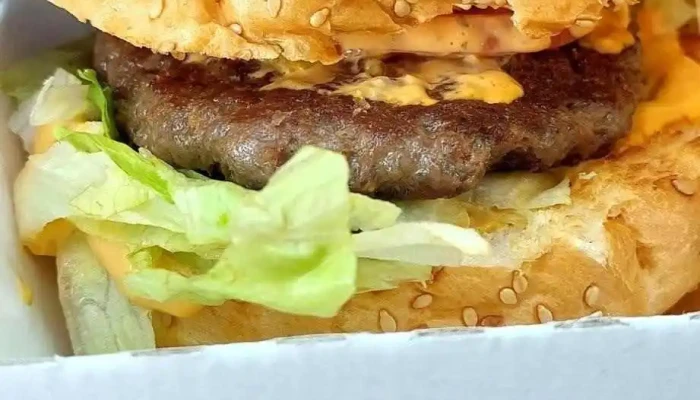 Mrdog Fries Hamburger - Benešova 1000