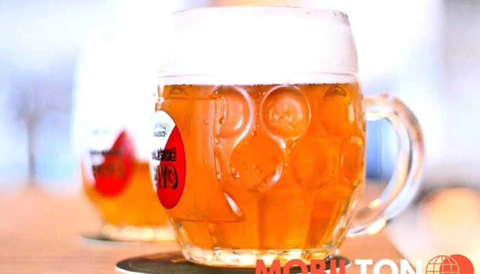 Nejen Bistro -  Pivo - Praha 8-karlín