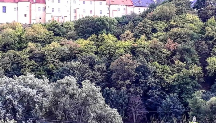 Nizbor Adresa - Č.p. 141