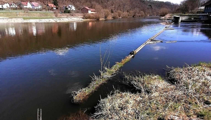 Nizborska Naplavka Velka Bukova - Czech Republic