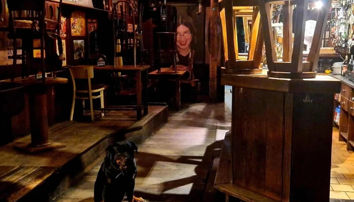 Nocni Bar Dira Nam Miru 9 - Nám. Míru 9