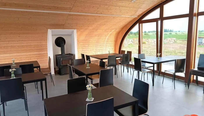Oaza Sasnak Vzhled A Atmosfera - Czech Republic