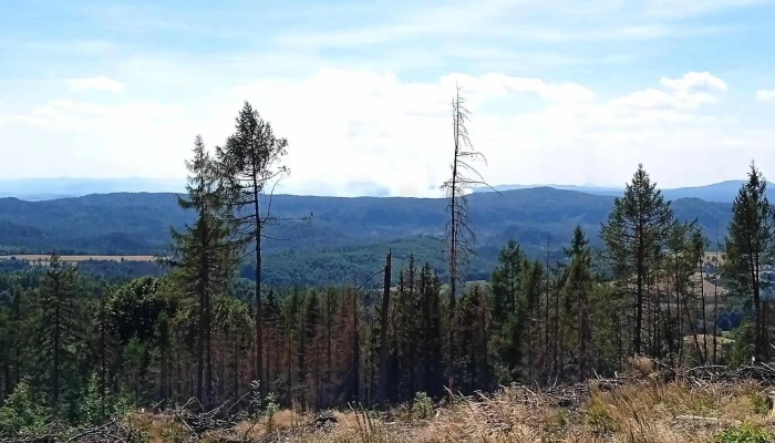 Obcerstveni Koliba Slevy - Mikulášovice