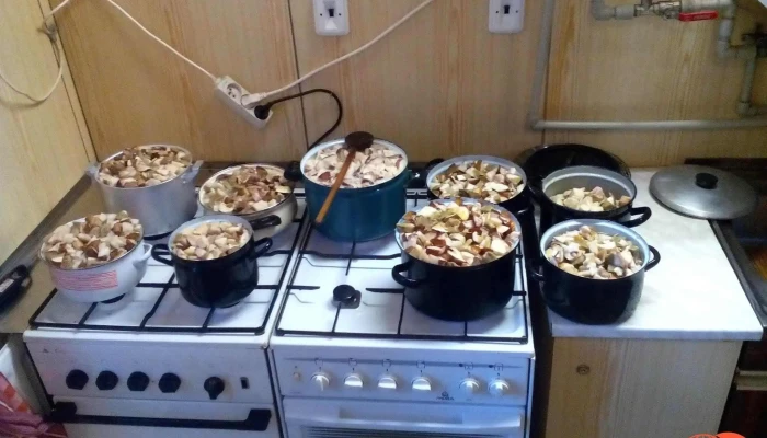 Obcerstveni Koupaliste Jidlo A Piti - Rožmitál Pod Třemšínem