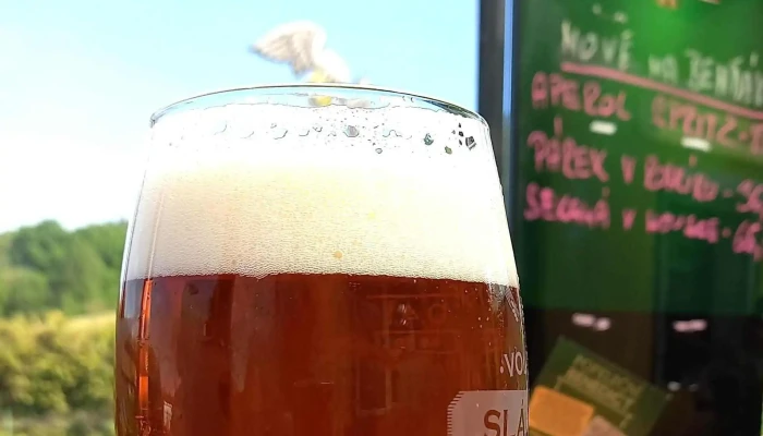 Obcerstveni Na Bendaku Otevřeno Nyni - Sokolská 308