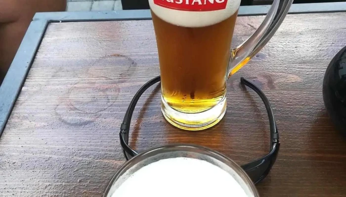 Opera Restaurant -  Pivo - Nám. V. Hálka 90