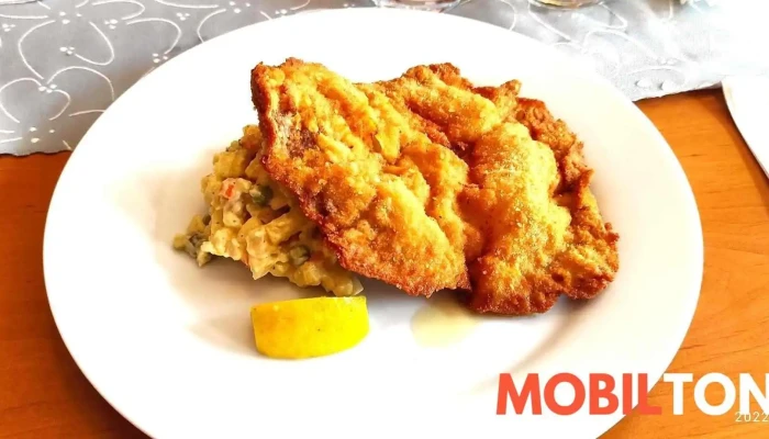 Penzion A Restaurace Janostik Rizek - Ostravská 375