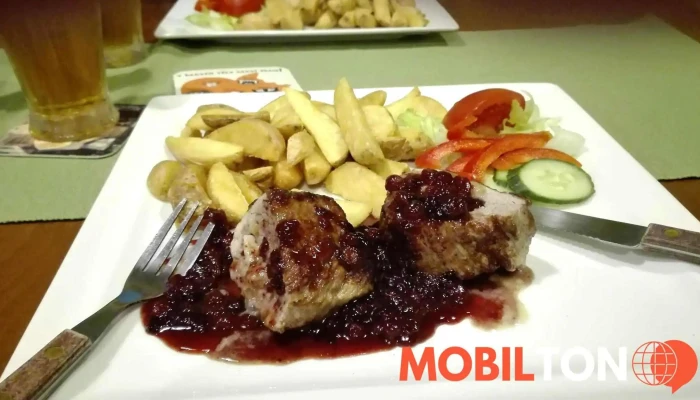 Penzion A Restaurace Na Strelnici Jidlo A Piti - 1278