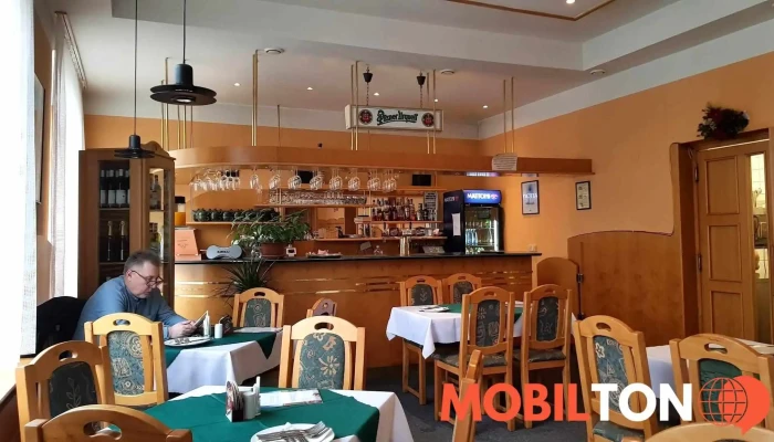Penzion a restaurace U Chmelů s.r.o. - 796 01 Prostějov 1