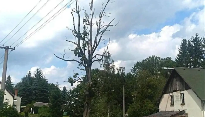 Penzion Petr -  Chata - Mikulášovice