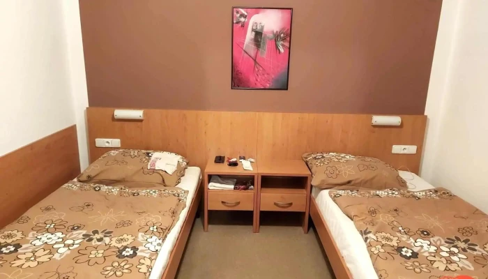Penzion Ruze Od Hostu - Masarykova 857