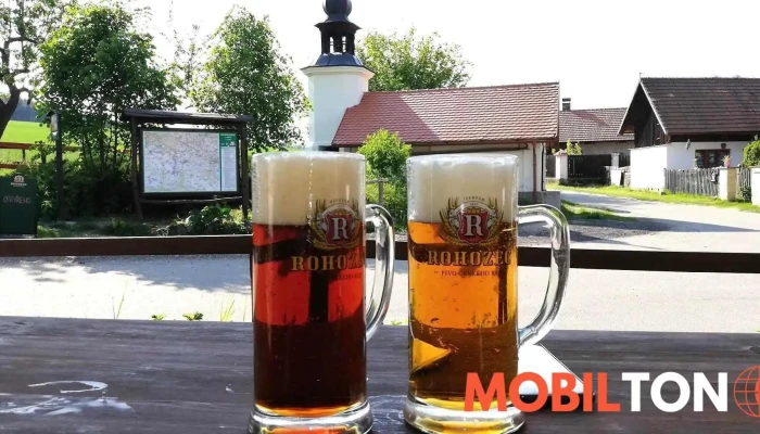 Penzion S Hospudkou U Zvonicky Pivo - Střehom