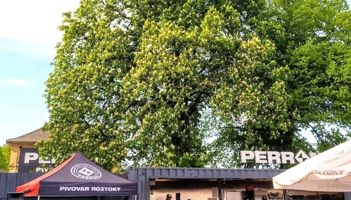 Perron Brewery Pivovarska Restaurace - Nádražní 56