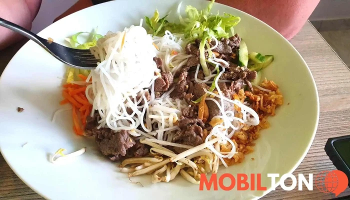 Pho Vietnam Nudle - Havlíčkova 2177