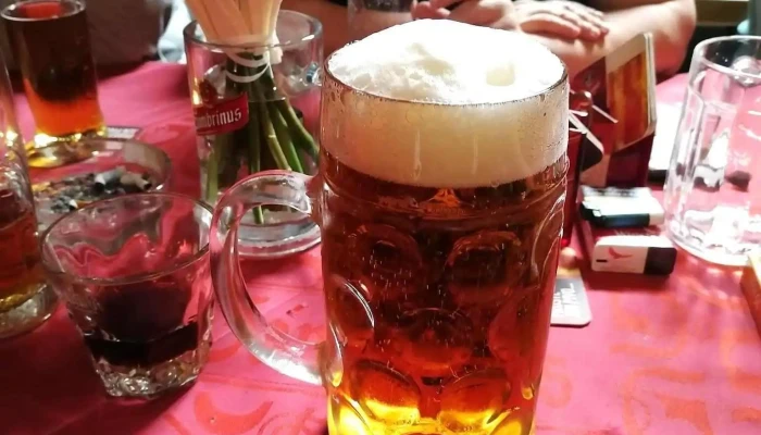 Pivnice Gambrinus -  Jidlo A Piti - Olšová 582