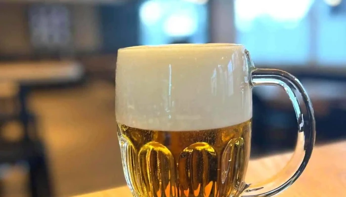 Pivnice Stromovka -  Jidlo A Piti - Kamarytova 1331