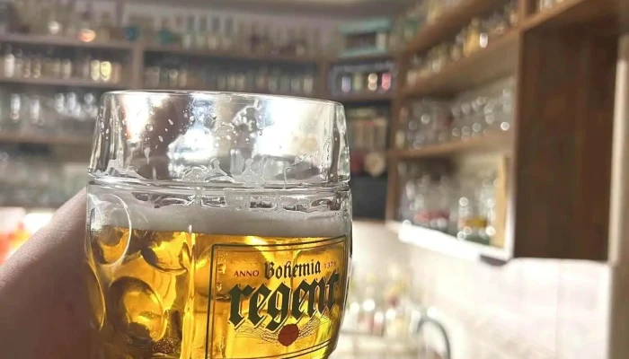 Pivnice U Hauzaru Od Vlastnika - Na Vinici 539