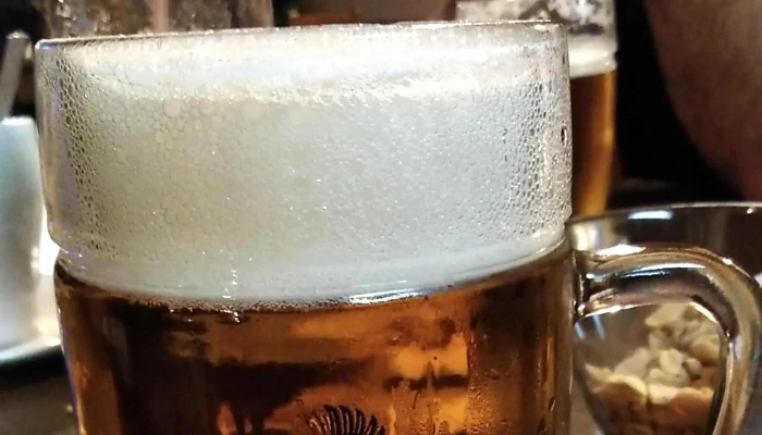 Pivnice U Kalicha -  Fotky - Benešova 95