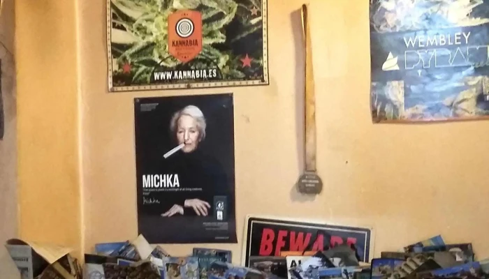 Pivnice U Kocek Videa - Beroun-město