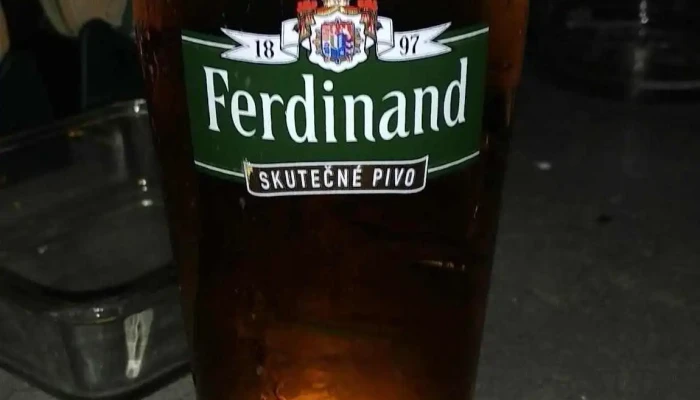 Pivnice U Krokodyla Jidlo A Piti - Topolová 1030