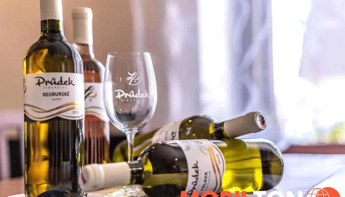 Pivnice U Musilu Jidlo A Piti - Zahradní 272
