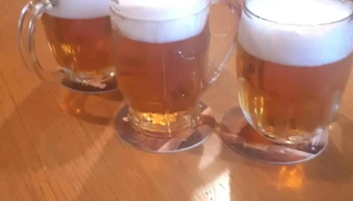 Pivnice U Vodvarku Jidlo A Piti - Veltrubská 330