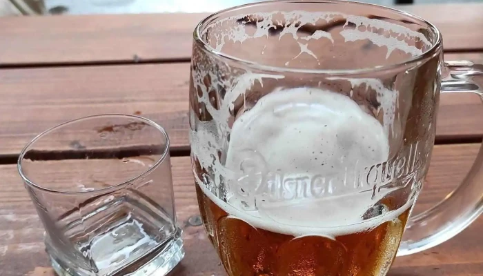 Pivnice U Zizky Jidlo A Piti - Lipová 390/2