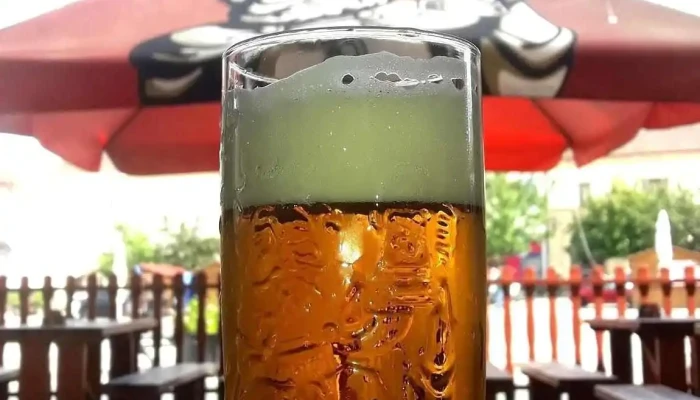 Pivnice V Podloubi U Hanze Jidlo A Piti - Nám. Míru 6