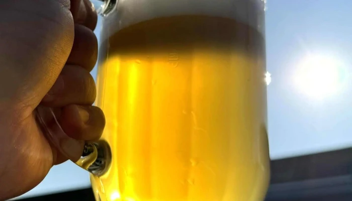 Pivovar Hostivar H1 -  Pivo - Praha 15